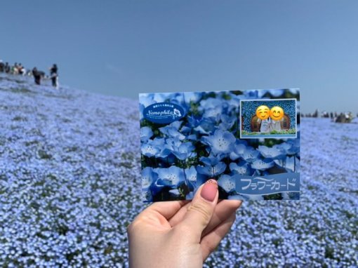 茨城県ひたち海浜公園